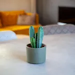 Lejlighed De Tuinfluiter 7