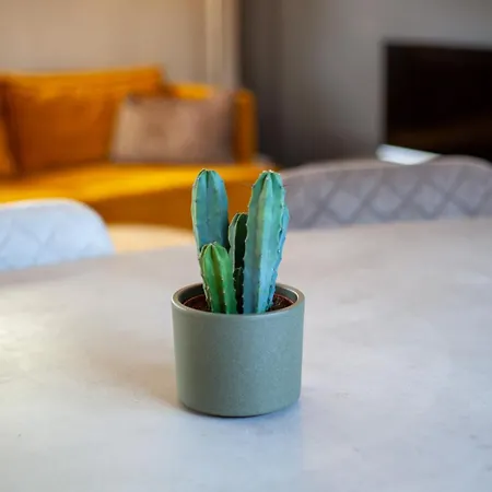 Apartman De Tuinfluiter 7