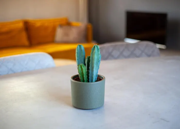 Apartament De Tuinfluiter 7